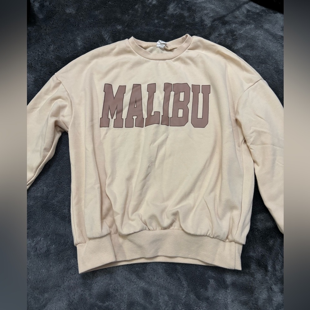 Malibu Cream and Brown Men's Sweater